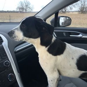 Meet your Posher, Amy